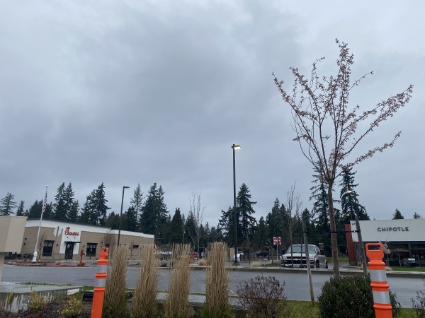 Real Estate Agents Near Me Bonney Lake